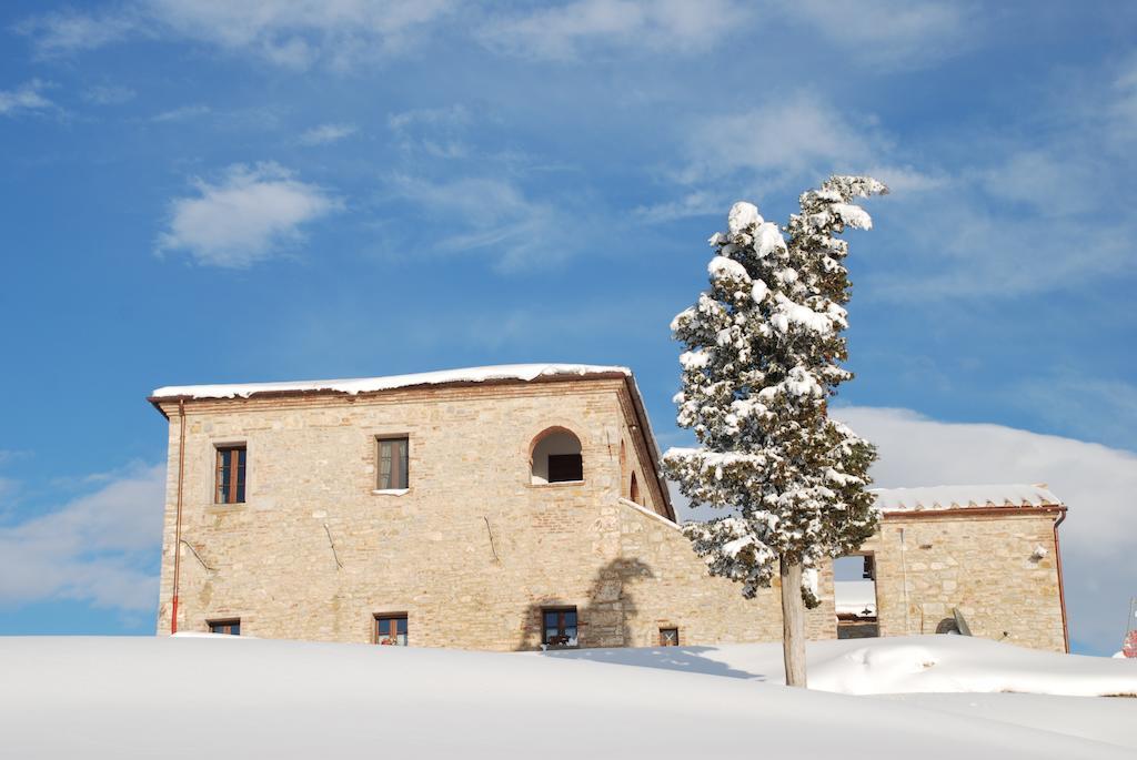 Scannano * Serre Di Rapolano
