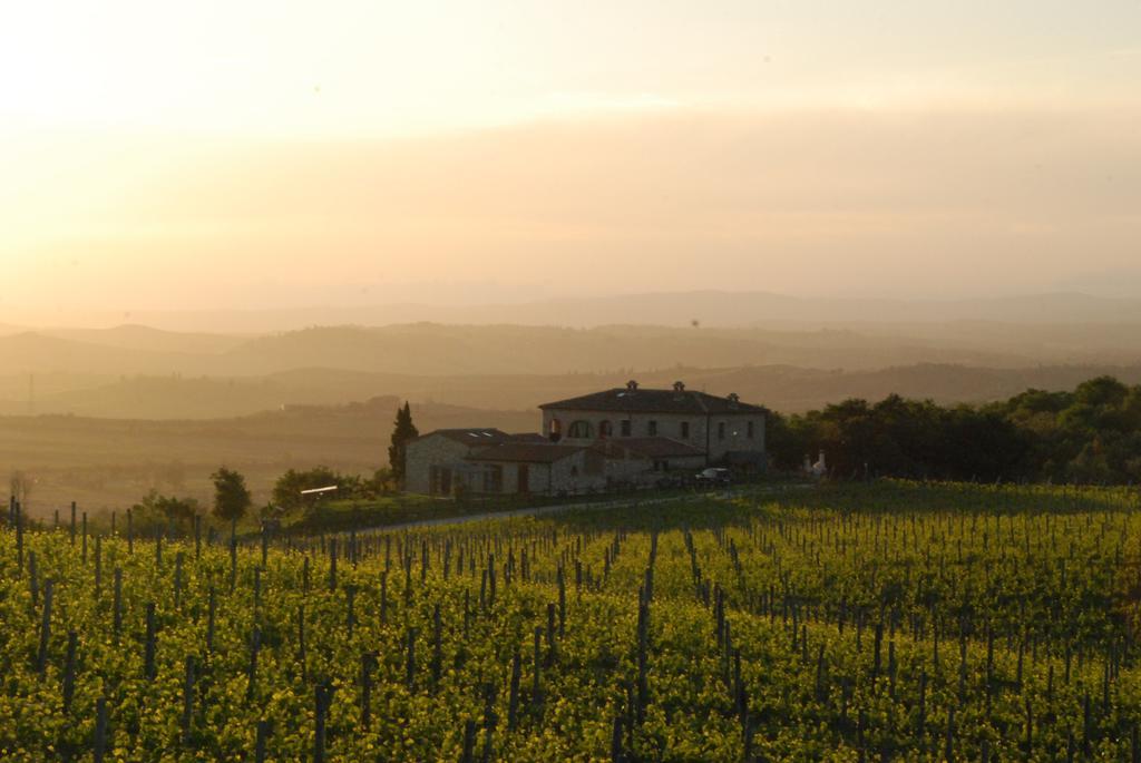 Scannano Bauernhof Serre Di Rapolano